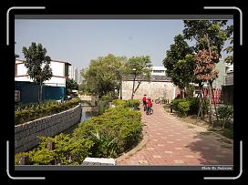 IMG_7908 * 900 x 644 * (293KB)
