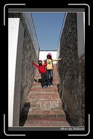 IMG_7917 * 600 x 966 * (290KB)