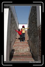IMG_7918 * 600 x 966 * (291KB)