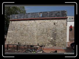 IMG_7919 * 900 x 644 * (287KB)