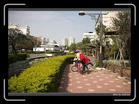 IMG_7939 * 900 x 644 * (296KB)