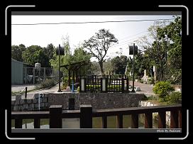 IMG_7949 * 900 x 644 * (283KB)