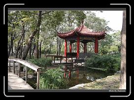 IMG_7959 * 900 x 644 * (298KB)