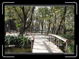 IMG_7960 * 900 x 644 * (295KB)