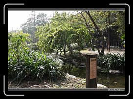 IMG_7961 * 900 x 644 * (295KB)