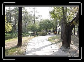 IMG_7962 * 900 x 644 * (297KB)