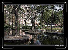 IMG_7963 * 900 x 644 * (293KB)