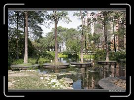 IMG_7966 * 900 x 644 * (297KB)