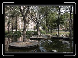 IMG_7967 * 900 x 644 * (298KB)
