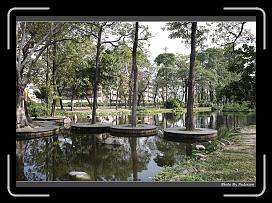 IMG_7968 * 900 x 644 * (298KB)