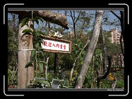 IMG_7970 * 900 x 644 * (296KB)