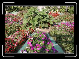 IMG_7972 * 900 x 644 * (298KB)
