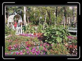 IMG_7973 * 900 x 644 * (299KB)
