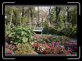 IMG_7974 * 900 x 644 * (292KB)