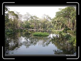 IMG_7980 * 900 x 644 * (294KB)