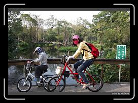 IMG_7999 * 900 x 644 * (294KB)