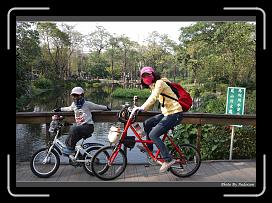 IMG_8003 * 900 x 644 * (294KB)