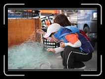 IMG_8132 * 900 x 644 * (295KB)