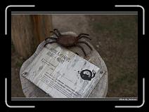 IMG_8183 * 900 x 644 * (277KB)