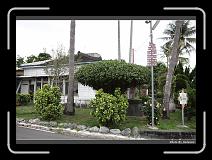 IMG_8196 * 900 x 644 * (295KB)