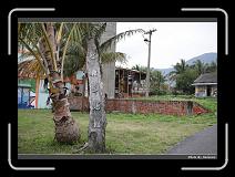 IMG_8219 * 900 x 644 * (287KB)