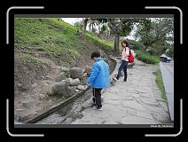 IMG_8236 * 900 x 644 * (293KB)