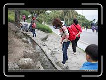IMG_8237 * 900 x 644 * (287KB)