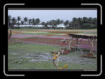 IMG_8267 * 900 x 644 * (288KB)