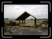 IMG_8275 * 900 x 644 * (266KB)