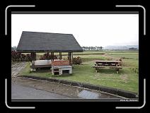 IMG_8276 * 900 x 644 * (276KB)