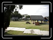 IMG_8286 * 900 x 644 * (282KB)