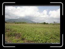 IMG_8313 * 900 x 644 * (286KB)