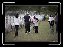 IMG_8317 * 900 x 644 * (272KB)