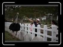 IMG_8318 * 900 x 644 * (250KB)