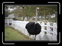 IMG_8319 * 900 x 644 * (254KB)