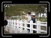 IMG_8326 * 900 x 644 * (274KB)