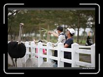 IMG_8327 * 900 x 644 * (271KB)