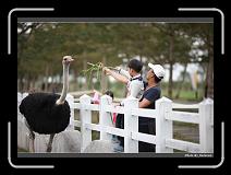 IMG_8328 * 900 x 644 * (277KB)