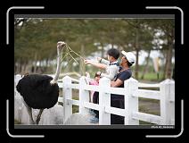 IMG_8329 * 900 x 644 * (284KB)