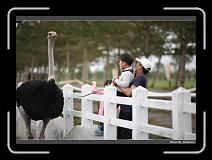 IMG_8330 * 900 x 644 * (276KB)