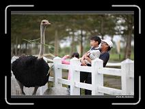 IMG_8331 * 900 x 644 * (272KB)