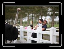 IMG_8332 * 900 x 644 * (256KB)