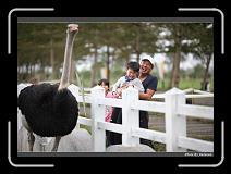 IMG_8333 * 900 x 644 * (274KB)