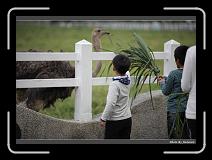 IMG_8349 * 900 x 644 * (273KB)
