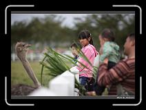 IMG_8354 * 900 x 644 * (245KB)