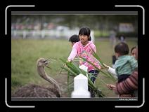IMG_8355 * 900 x 644 * (252KB)