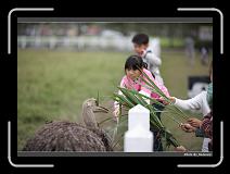 IMG_8356 * 900 x 644 * (270KB)