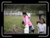 IMG_8359 * 900 x 644 * (234KB)
