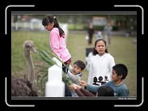 IMG_8360 * 900 x 644 * (251KB)