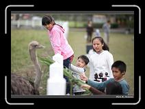 IMG_8361 * 900 x 644 * (253KB)